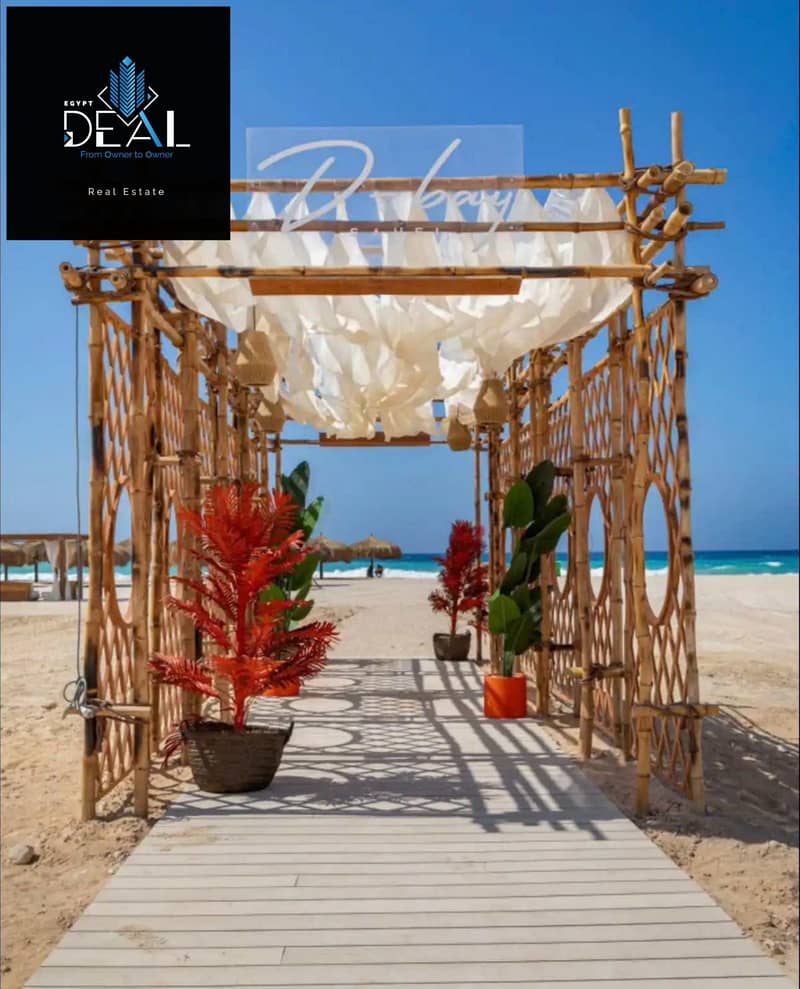 13 D-Bay Summer 24 Live_page-0001. jpg