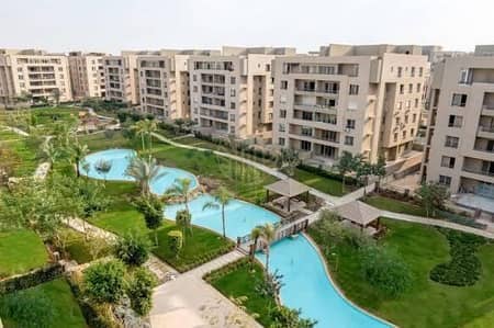 فلیٹ 3 غرف نوم للايجار في القاهرة الجديدة، القاهرة - WhatsApp Image 2025-06-17 at 13.03. 54_2d6b4bea. jpg