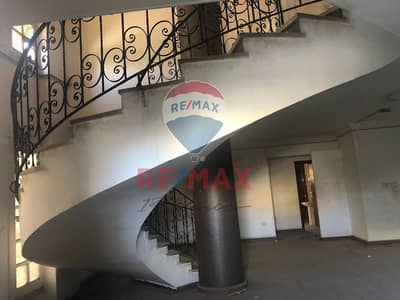 فیلا 8 غرف نوم للبيع في القاهرة الجديدة، القاهرة - e712cb06-6eae-4a20-946c-6cc46699cdb7. jpg