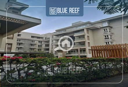 2 Bedroom Flat for Sale in New Cairo, Cairo - غلغ. jpg