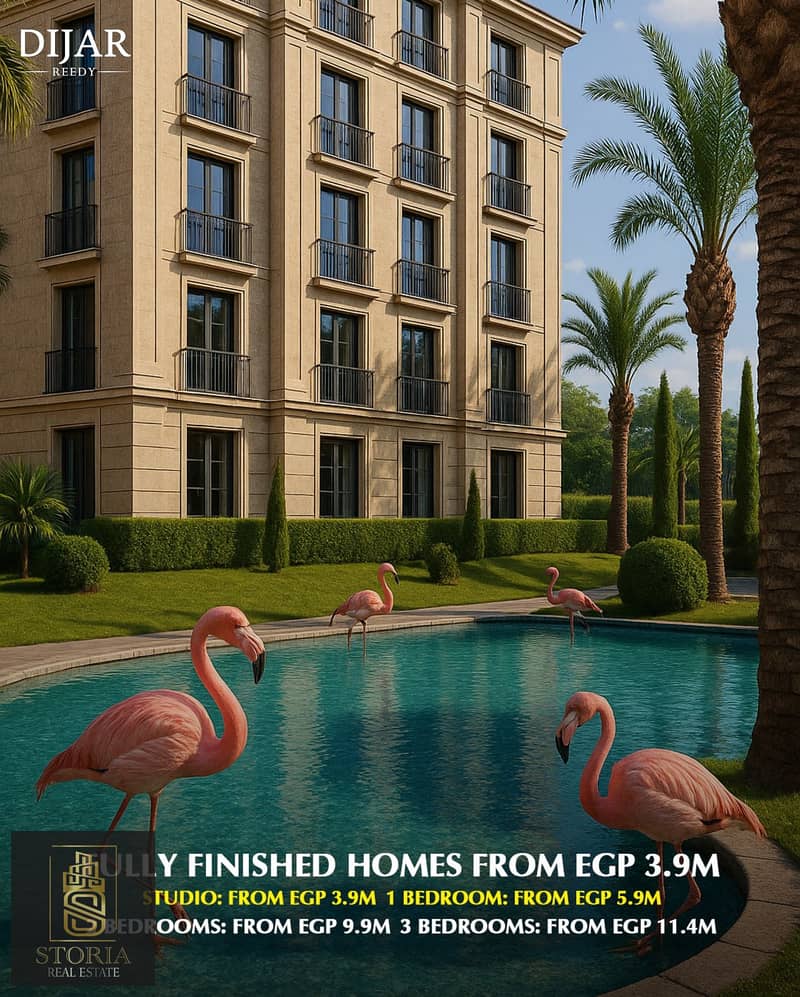 11 ديجار (3). jpg