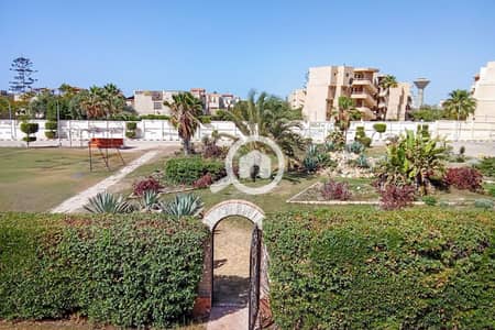 2 Bedroom Villa for Sale in North Coast, Matruh - 0. JPG