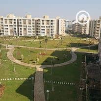 2 Bedroom Apartment for Rent in Madinaty, Cairo - 172304108_514524299711458_7710175856204350462_n. jpg