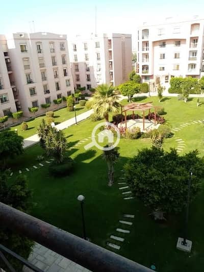 3 Bedroom Apartment for Rent in New Cairo, Cairo - غريب. jpg