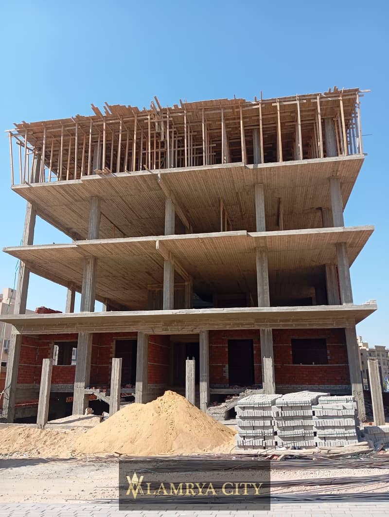 2 النرجس2. jpg