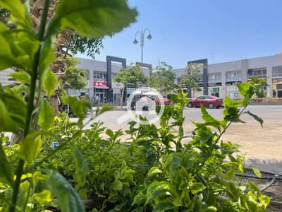 Retail for Rent in Madinaty, Cairo - WhatsApp Image 2025-06-18 at 11.04. 26 AM. jpeg
