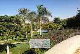 2 IMG_0431. jpg