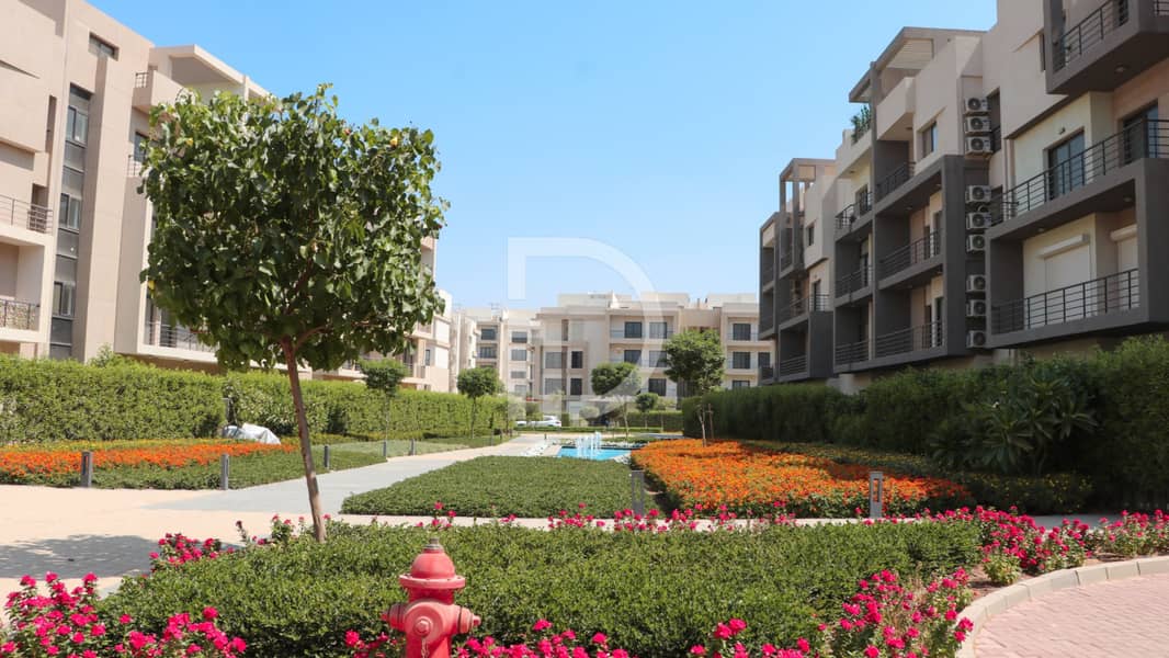 9 Vth Square - Live Photos _page-0011. jpg