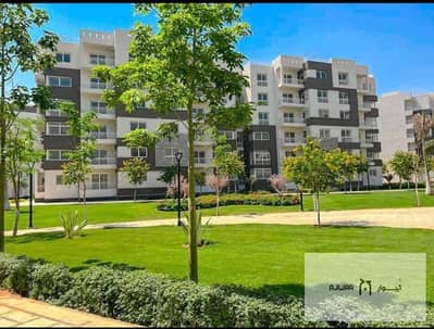 3 Bedroom Flat for Sale in Madinaty, Cairo - WhatsApp Image 2025-03-04 at 12.19. 26 PM. jpeg