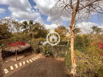 3 Bedroom Villa for Sale in Madinaty, Cairo - WhatsApp Image 2025-04-05 at 23.21. 33 (4). jpeg