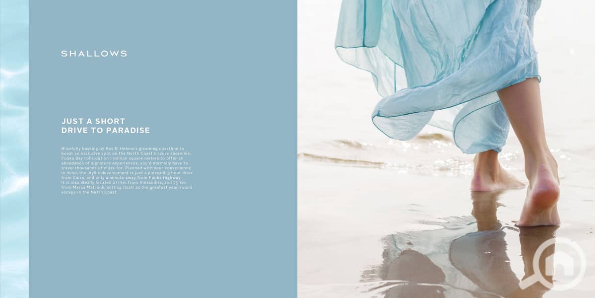 6 Shallows Sales Kit 2024_page-0003. jpg