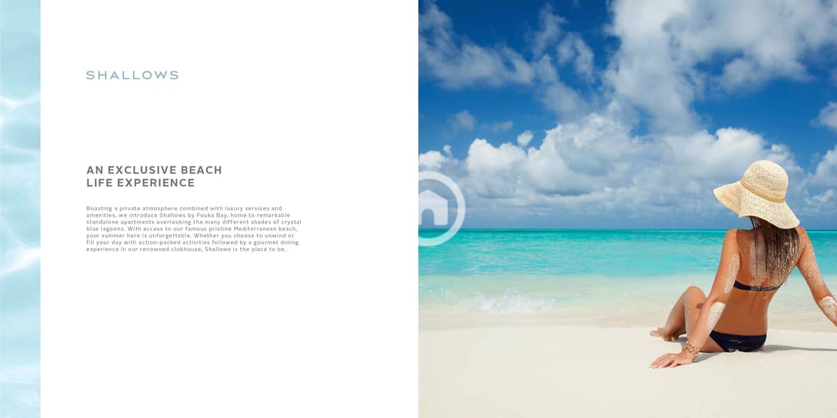 7 Shallows Sales Kit 2024_page-0005. jpg