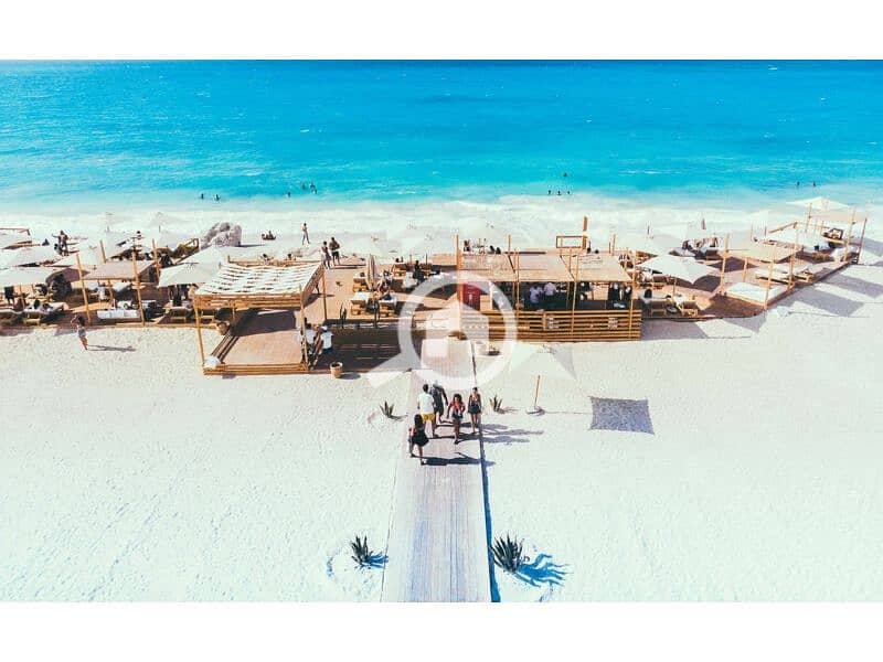 11 sea-shell-playa-2-800x492 (1). jpg