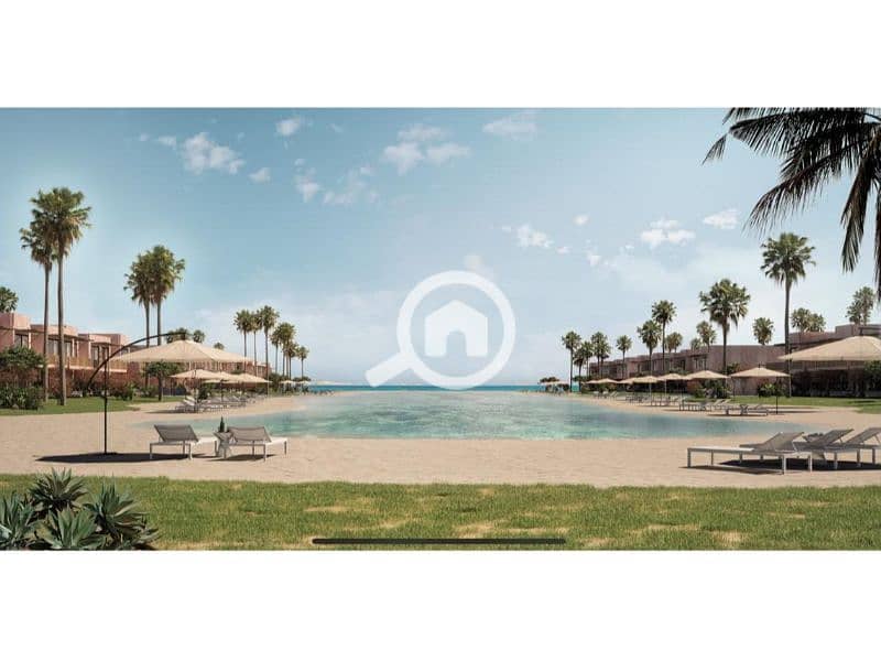sea-shell-playa (1). jpg sea-shell-playa (1). jpg