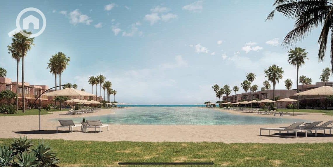 8 sea-shell-playa. jpg