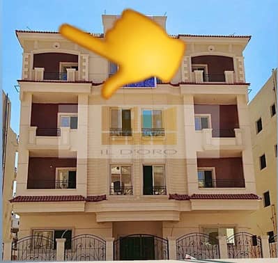 3 Bedroom Apartment for Sale in New Cairo, Cairo - WhatsApp Image 2025-06-19 at 13.38. 02_fc4fcd4b. jpg