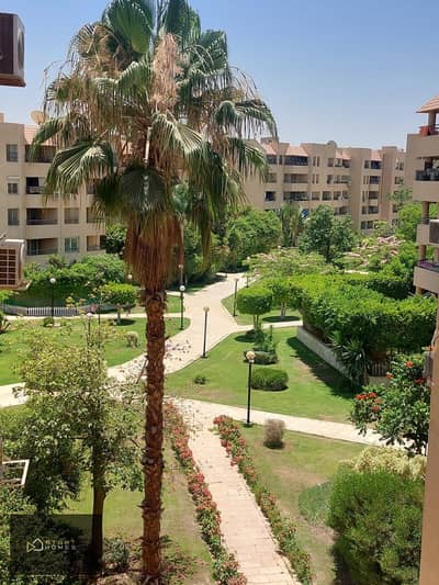 3 Bedroom Apartment for Sale in New Cairo, Cairo - WhatsApp Image 2025-06-19 at 2.20. 38 PM. jpeg