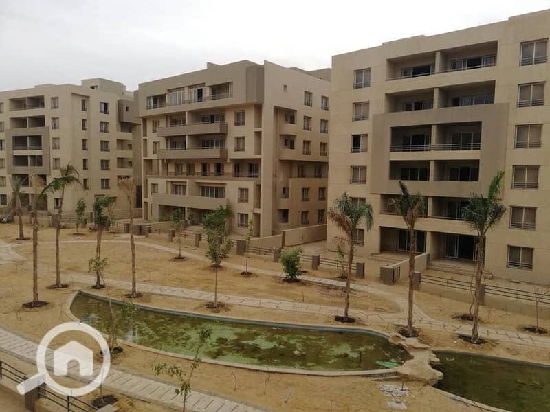 6 The Square compound- realestate_eg. jpg