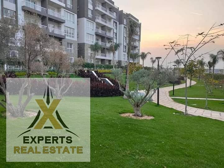 3 WhatsApp Image 2024-07-31 at 1.47. 09 PM. jpeg