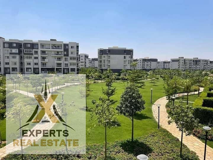 4 WhatsApp Image 2024-07-31 at 1.47. 10 PM (1). jpeg