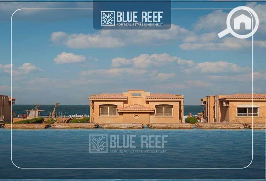 Bluereef - Templete. psdsdfcv (1)-ljijRecovered. jpg Bluereef - Templete. psdsdfcv (1)-ljijRecovered. jpg