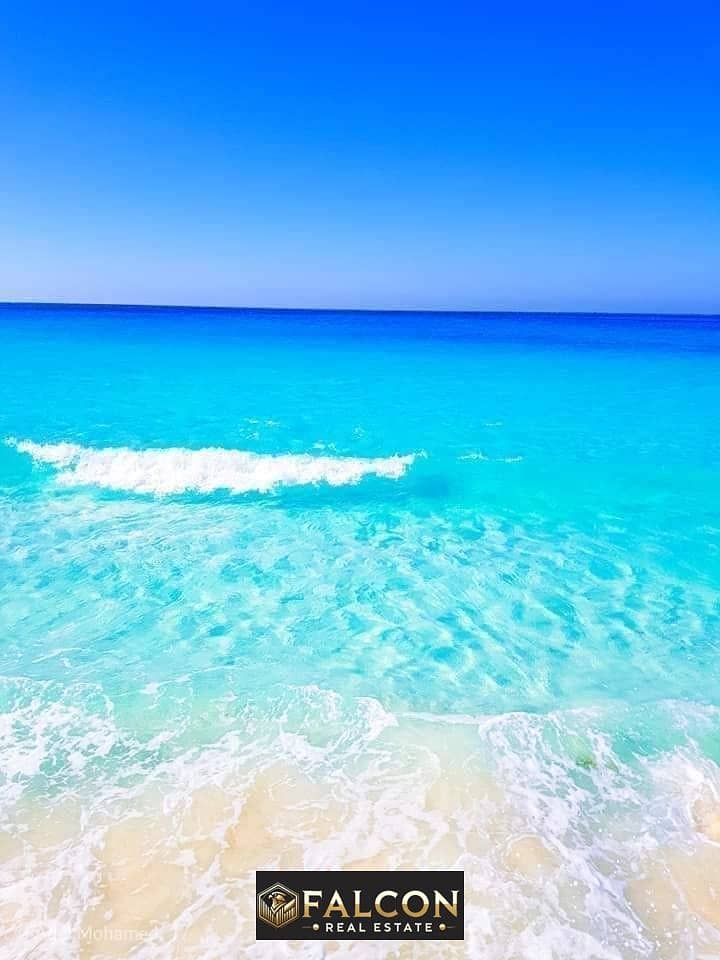 11 354473567_5786691108102358_6006561821769708510_n. jpg