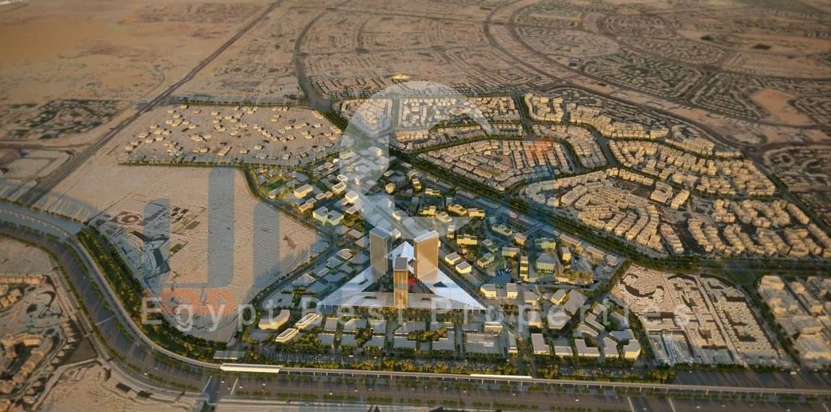 6 ARKAN-PALM. jpeg