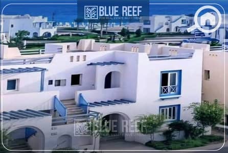 بنتهاوس 2 غرفة نوم للبيع في الساحل الشمالي، مطروح - Bluereef  - Templete. psdsdfcv (1)-Recovered-Recovered. jpg