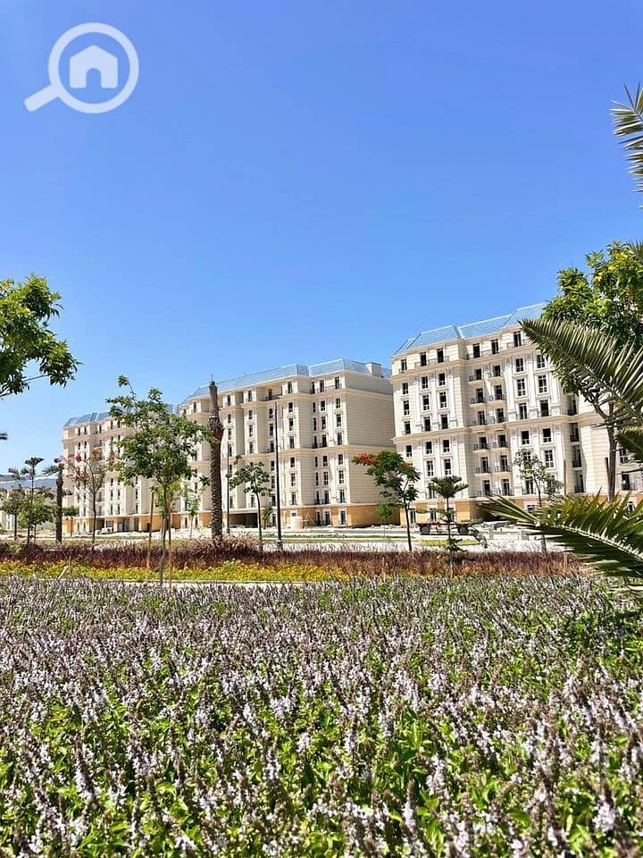 7 454137491_1210010876810274_7861673619605193467_n. jpg