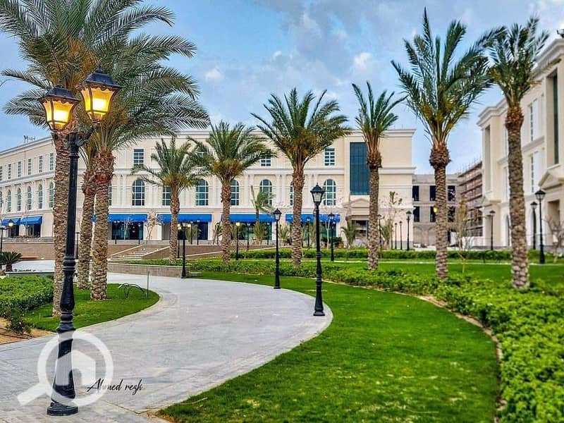 8 438237280_1421466501837595_6500247519985144808_n. jpg