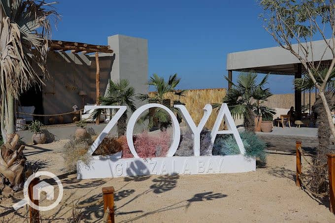 Zoya Ghazala bay. jpg