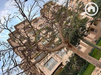 5 Bedroom Flat for Sale in Madinaty, Cairo - WhatsApp Image 2024-09-26 at 1.55. 58 PM. jpeg