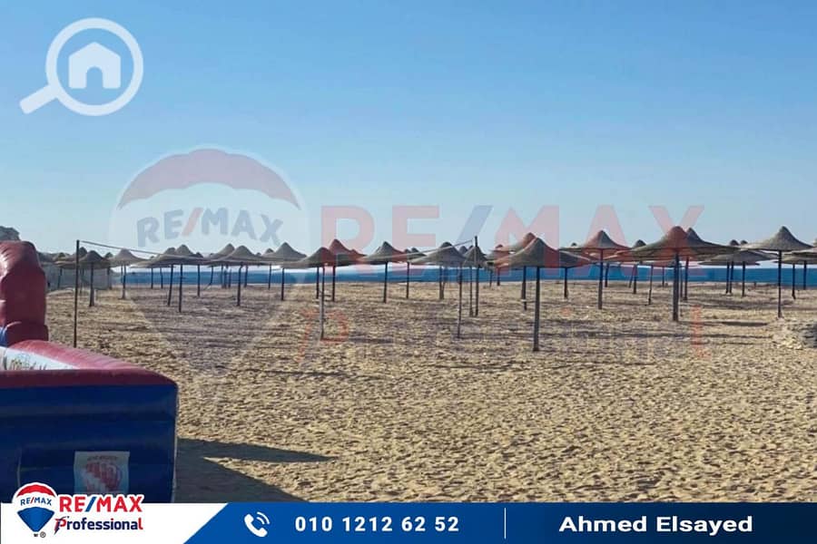 4 photo-el-alamein-13. jpg
