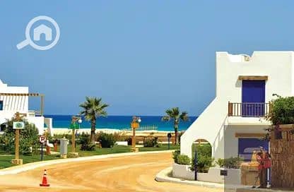 3 بيانكي الساحل الشمالي - Bianchi Ilios North Coast. jpg