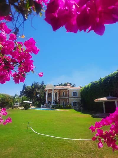 3 Bedroom Villa for Rent in King Mariout, Alexandria - فيلا عظيمة للإيجار كينج مريوط الإسكندرية من المالك مباشرتا