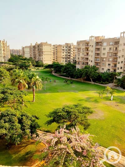 2 Bedroom Apartment for Rent in Madinaty, Cairo - WhatsApp Image 2024-09-26 at 2.59. 08 PM. jpeg
