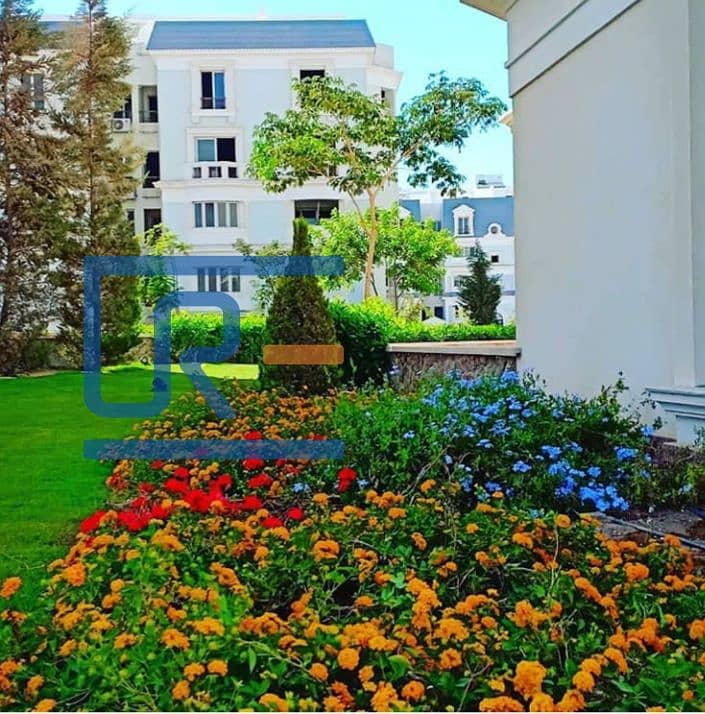 9 Life-in-mountain-view-hyde-park. jpg