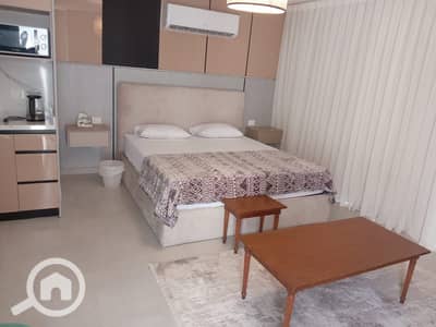 Studio for Rent in New Cairo, Cairo - WhatsApp Image 2025-05-28 at 1.48. 42 PM. jpeg