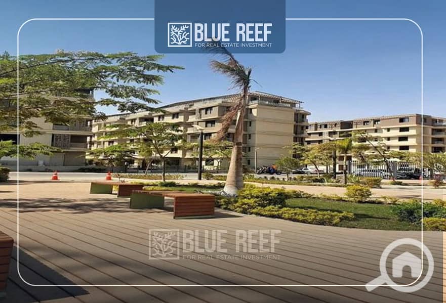 3 Bluereef  - Templete. psdsdfcv (1)YYRTU. jpg