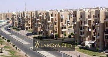 4 النرجس الجديده3. jpg