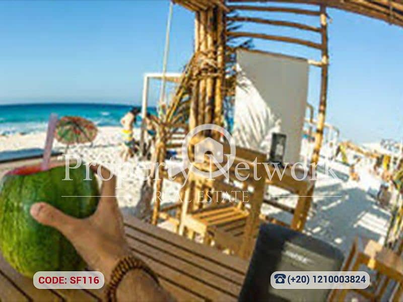 12 SF116 (12). png