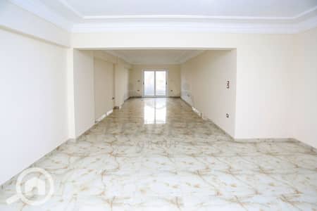 3 Bedroom Flat for Rent in Glim, Alexandria - 2. JPG