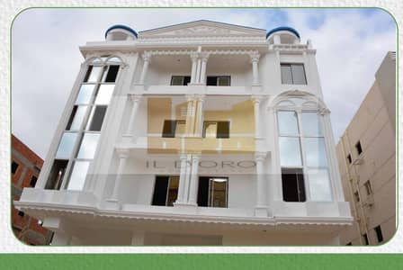 شقة 3 غرف نوم للبيع في القاهرة الجديدة، القاهرة - WhatsApp Image 2025-06-23 at 2.54. 44 PM. jpeg