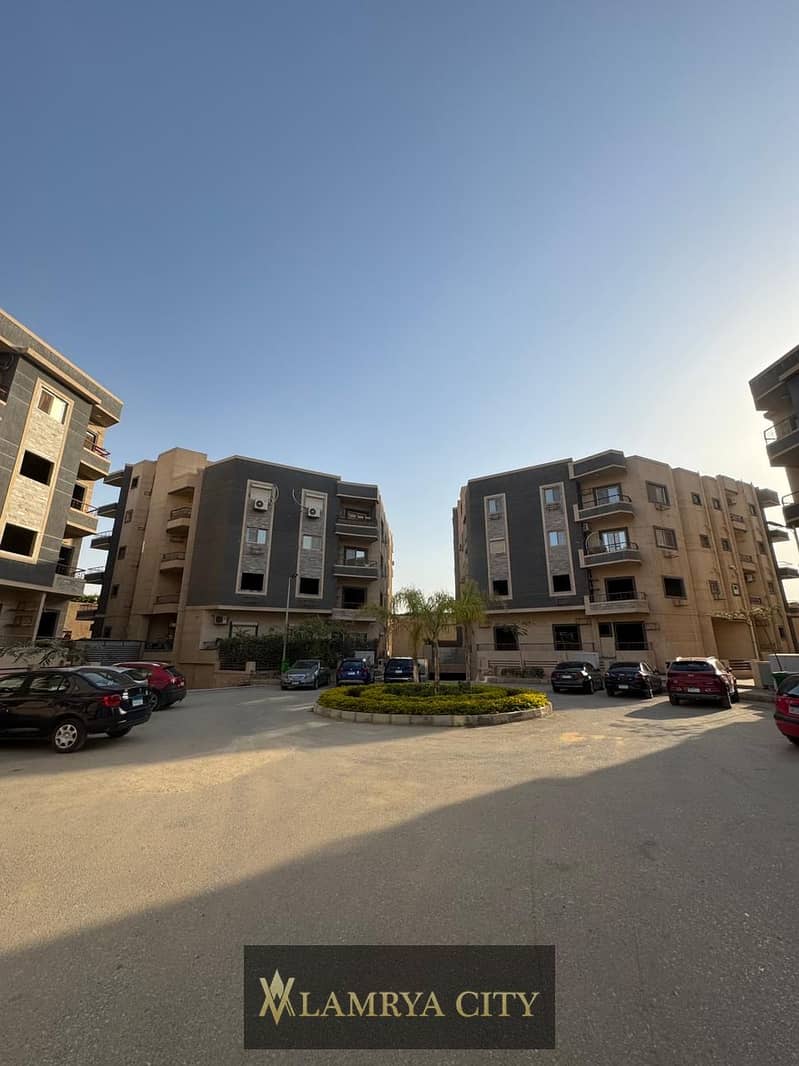 2 النرجس الجديده اماني2. jpg
