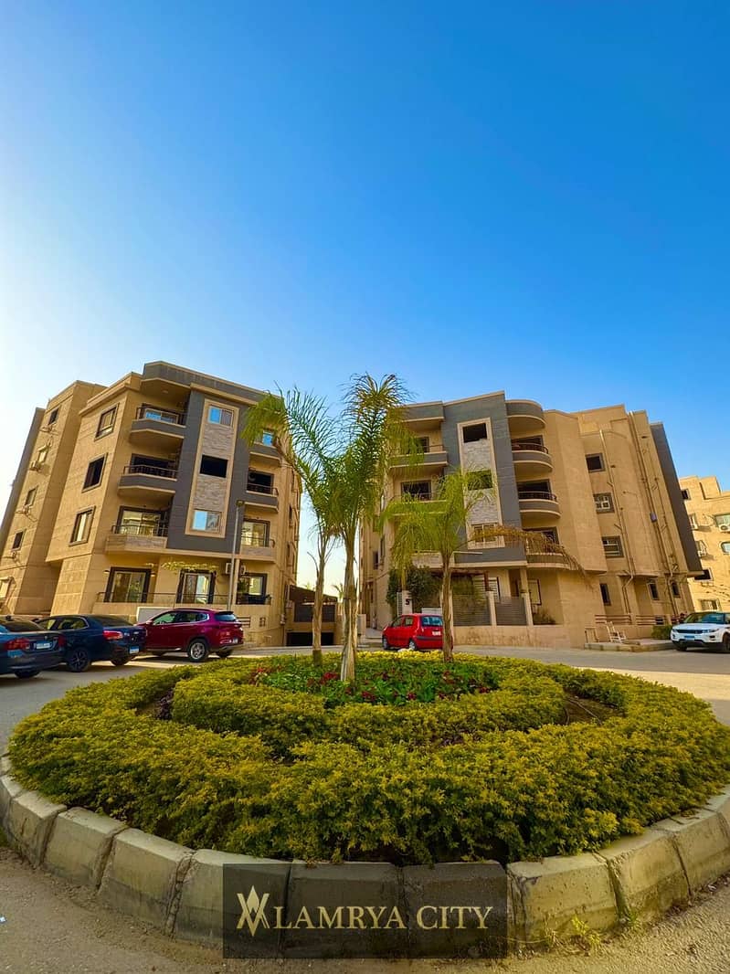 3 النرجس الجديده اماني3. jpg