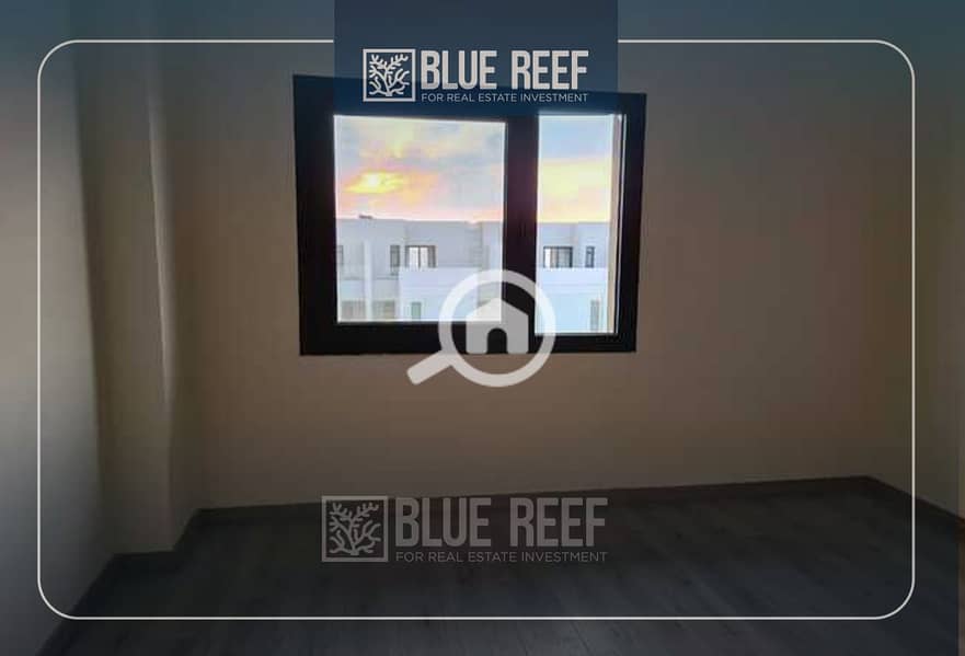 4 Bluereef  - Templete. psdsdfcv 6565. jpg
