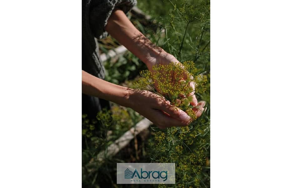 10 Lugar Brochure updated. pdf-image-178. jpg