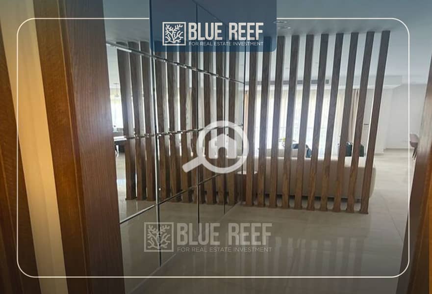 3 Bluereef  - Templete. psdsdfcv (1)فعفقع. jpg