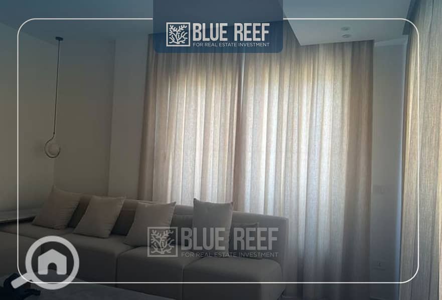 11 Bluereef  - Templete. psdsdfcv ىة. jpg