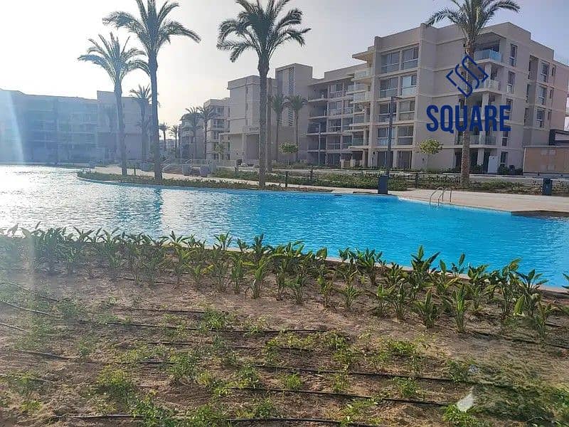 23 27291553-800x600. jpg